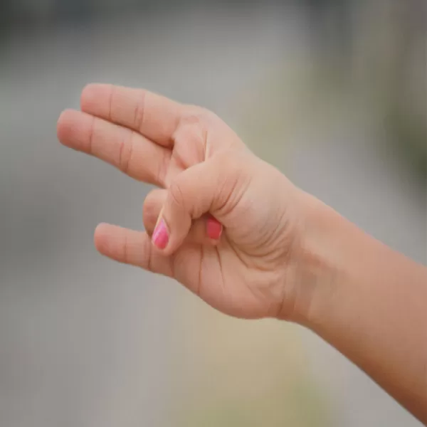 Surya mudra
