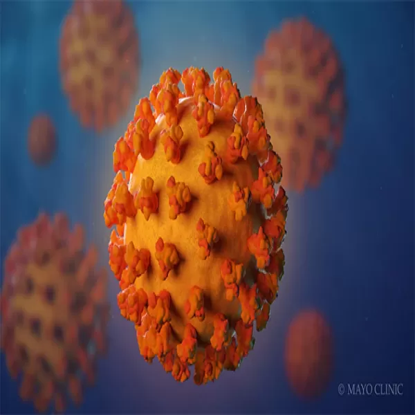 Bioterrorism Diseases & Awareness of hand hygiene for healthcare professionals